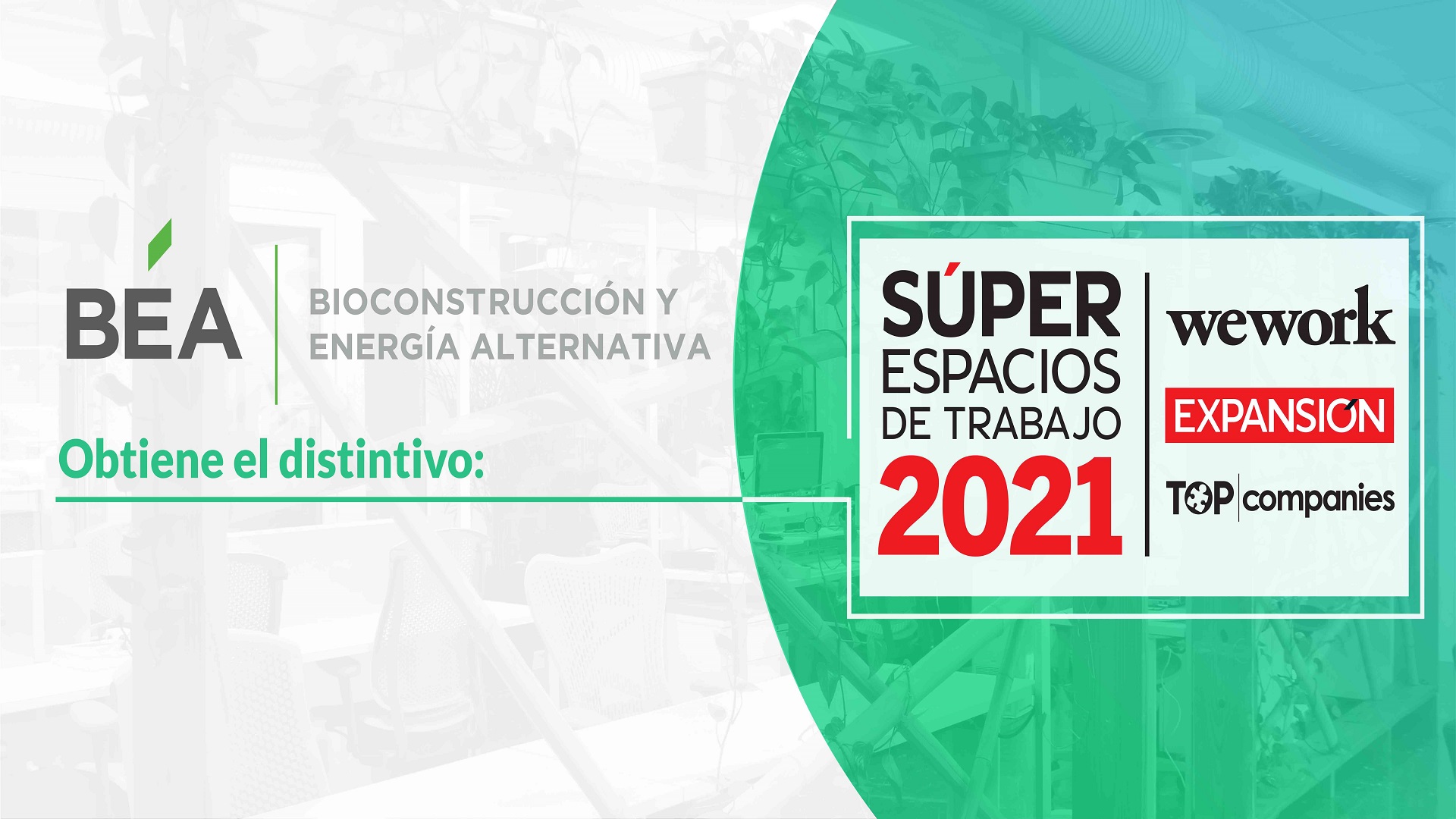 Inicio Bioconstrucción Y Energía Alternativa